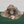 Load image into Gallery viewer, AGC Crest Bucket Hat