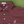 Load image into Gallery viewer, The Brooks Polo