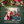 Load image into Gallery viewer, Christmas in Augusta Tee