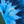 Load image into Gallery viewer, Dancing Champions Tee

